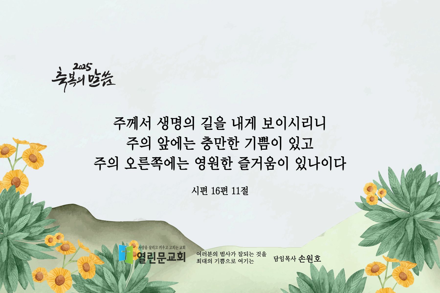 시안 5